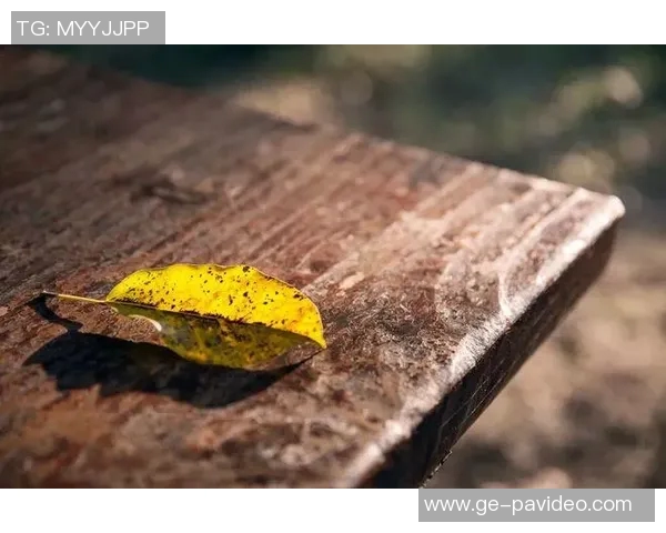 【夜读】一个时代的落幕——铭记与反思 【夜读】一个时代的落幕——铭记与反思